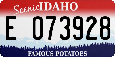 ID license plate E073928