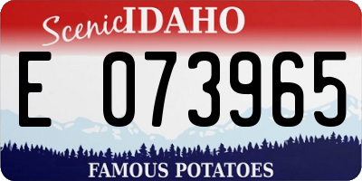 ID license plate E073965