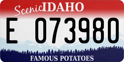 ID license plate E073980