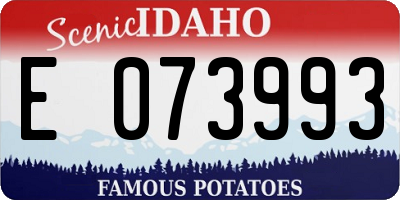ID license plate E073993