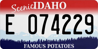 ID license plate E074229