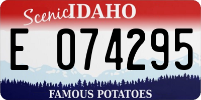 ID license plate E074295