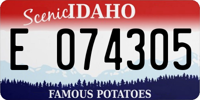 ID license plate E074305