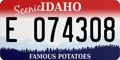 ID license plate E074308