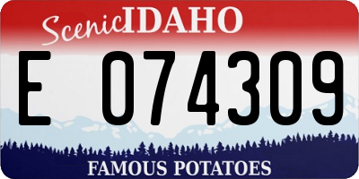 ID license plate E074309
