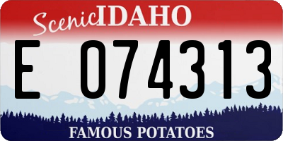 ID license plate E074313