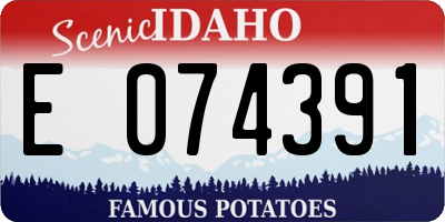 ID license plate E074391