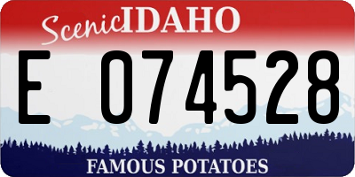 ID license plate E074528