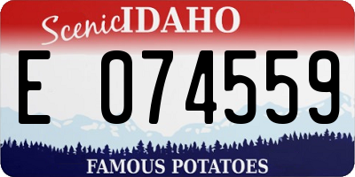 ID license plate E074559