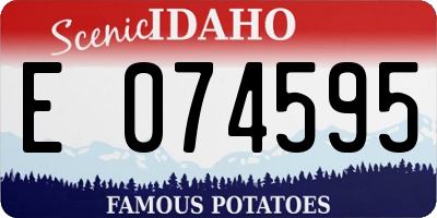 ID license plate E074595