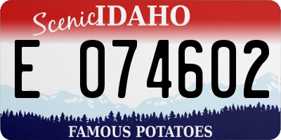 ID license plate E074602
