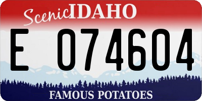 ID license plate E074604