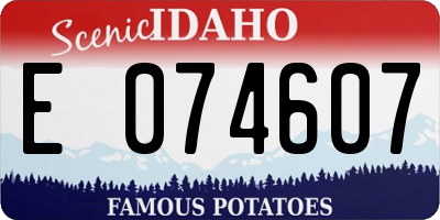 ID license plate E074607