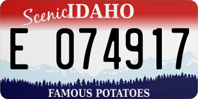 ID license plate E074917