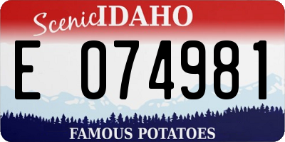 ID license plate E074981