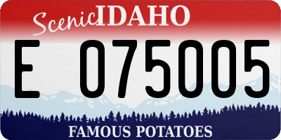 ID license plate E075005