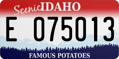 ID license plate E075013