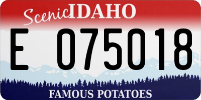 ID license plate E075018