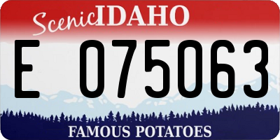 ID license plate E075063
