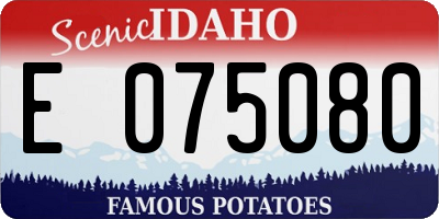 ID license plate E075080