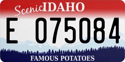 ID license plate E075084