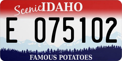 ID license plate E075102