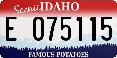 ID license plate E075115