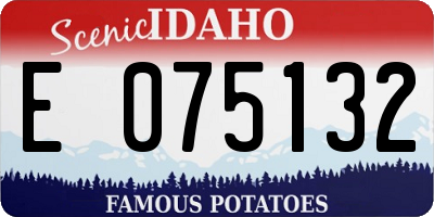 ID license plate E075132