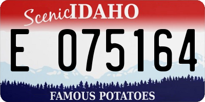 ID license plate E075164