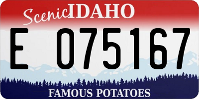 ID license plate E075167