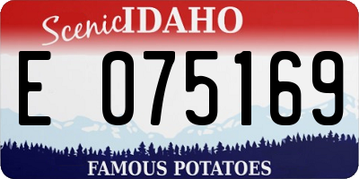 ID license plate E075169