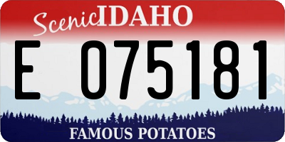 ID license plate E075181