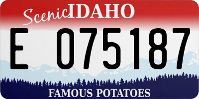 ID license plate E075187