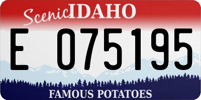 ID license plate E075195