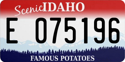 ID license plate E075196