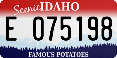 ID license plate E075198