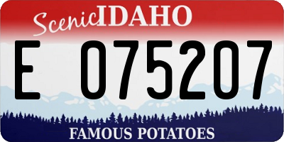 ID license plate E075207