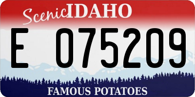 ID license plate E075209