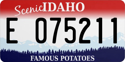 ID license plate E075211
