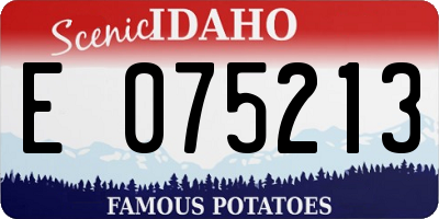 ID license plate E075213