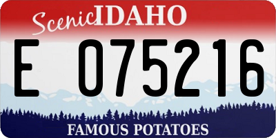 ID license plate E075216