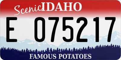 ID license plate E075217