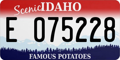 ID license plate E075228