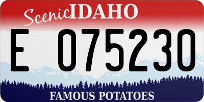 ID license plate E075230
