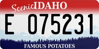 ID license plate E075231