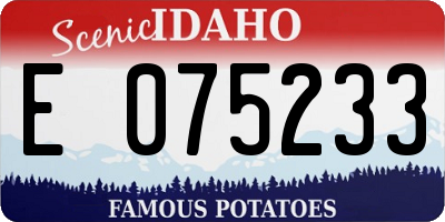 ID license plate E075233