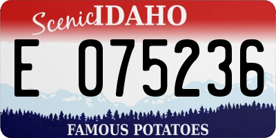 ID license plate E075236