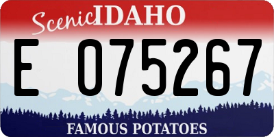 ID license plate E075267