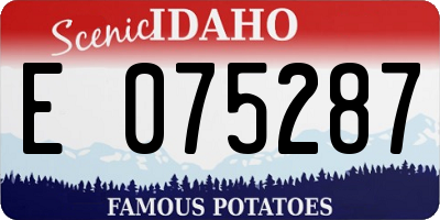 ID license plate E075287