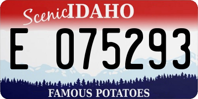 ID license plate E075293